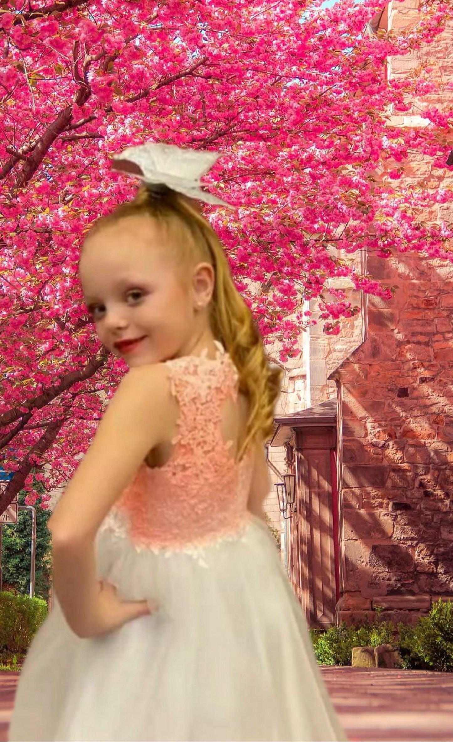 3D Butterfly Lace Sweetheart Dress Size 5/6T - On the Go with Princess O