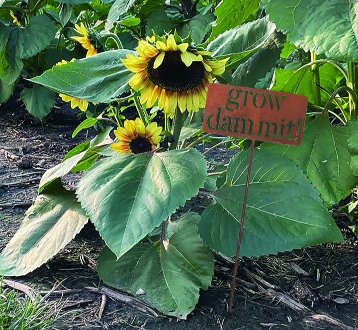 Metal Yard Art Garden Sign On the Go with Princess O