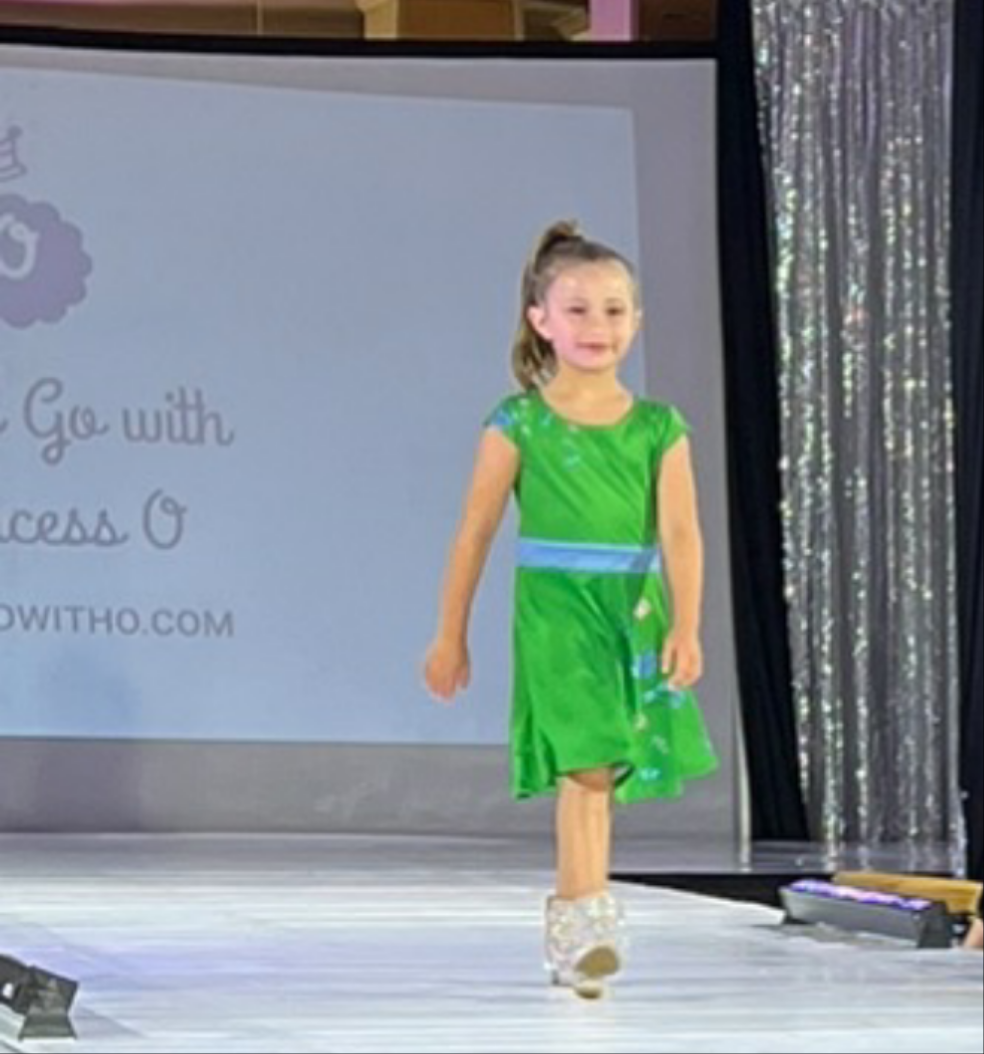 Girl's Butterflies & Dragonflies Dress (size 6) - On the Go with Princess O