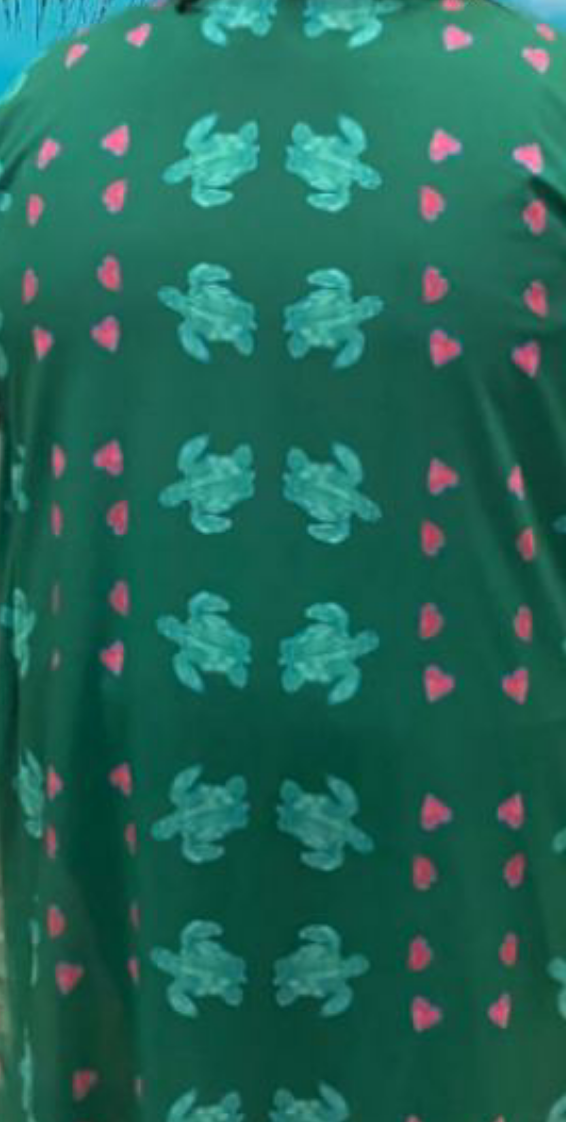 Women's Save the Turtles Chiffon Cover up Wrap On the Go with Princess O