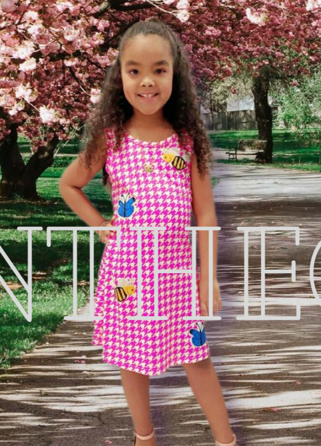 Pink Houndstooth Bee Dress - On the Go with Princess O