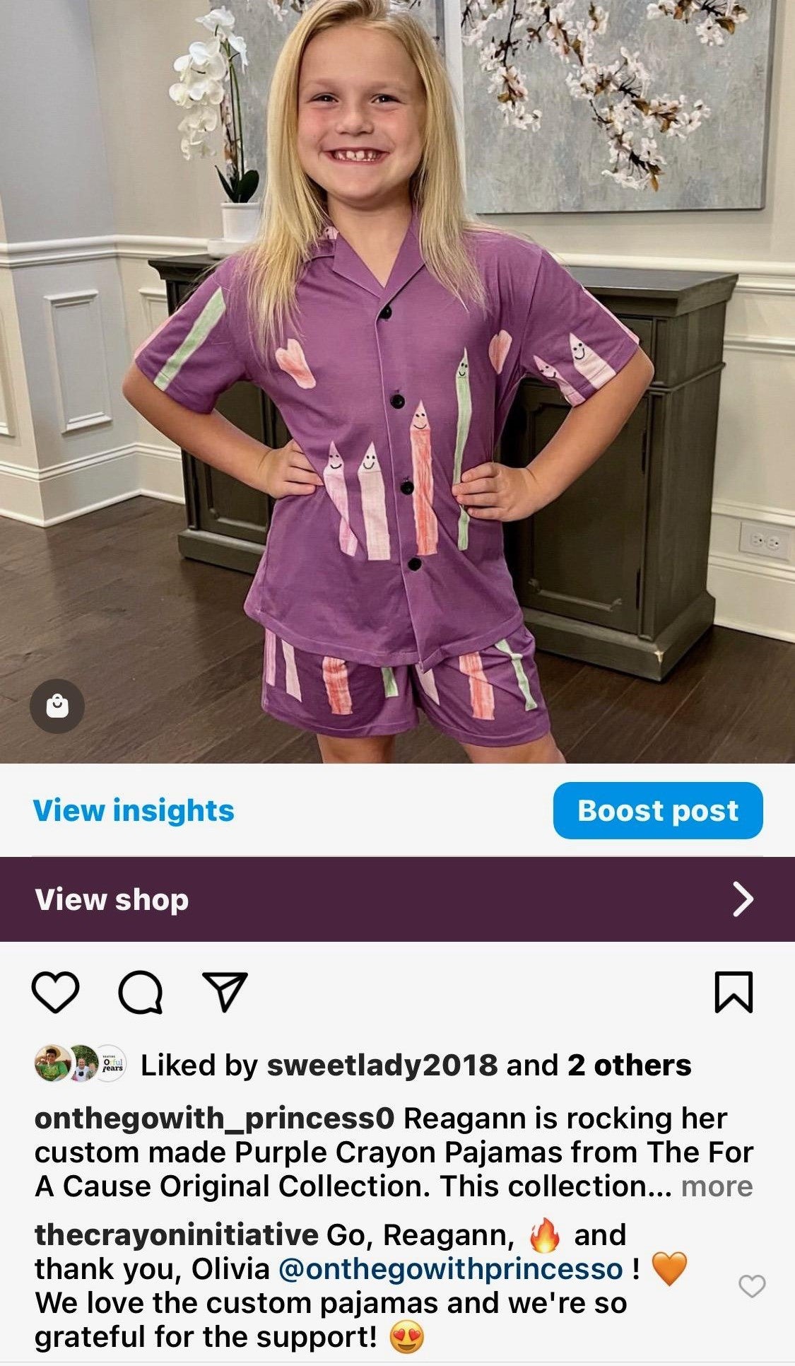 Purple Crayon Pajamas - On the Go with Princess O