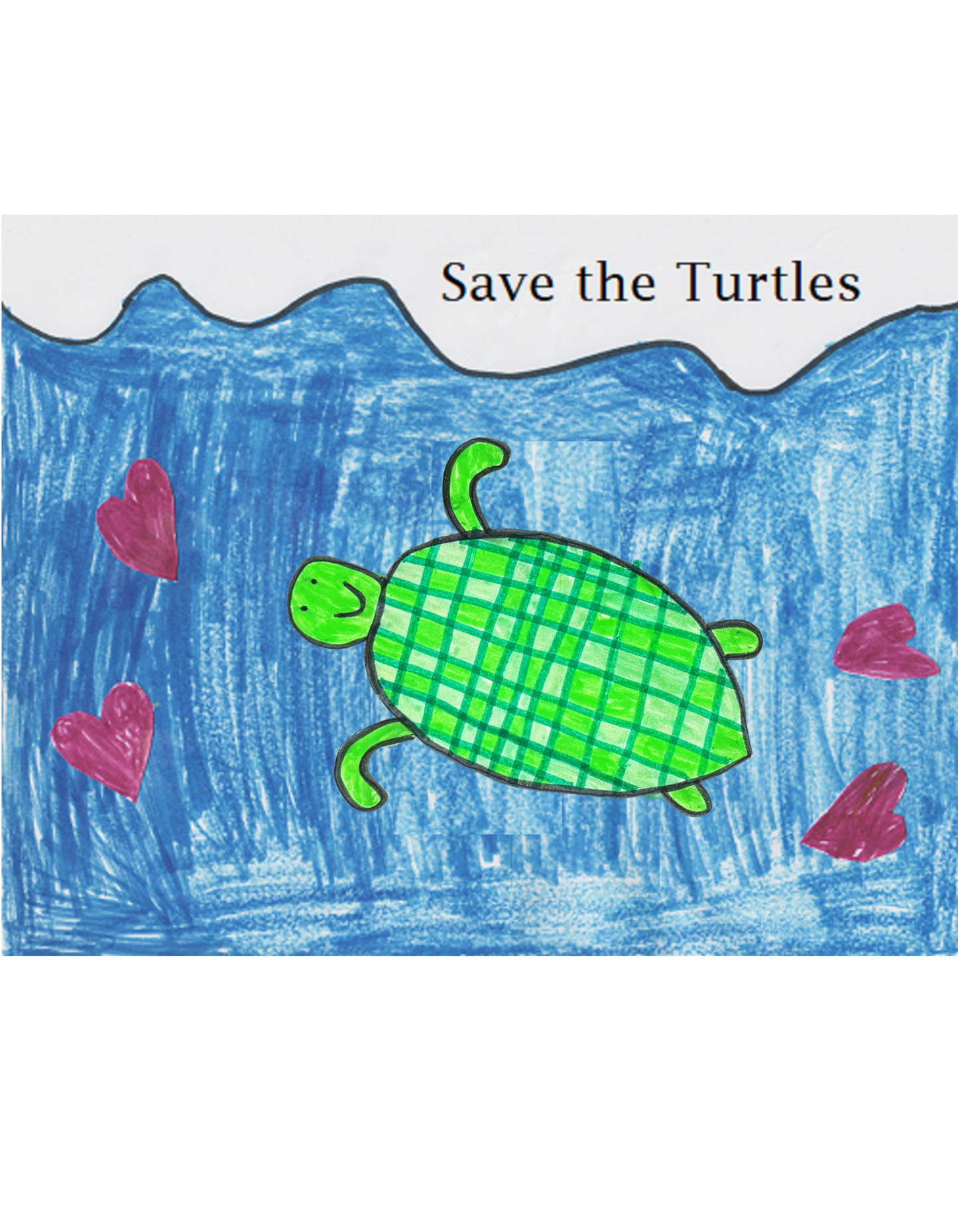 Save the Turtles Stainless Water Bottle - On the Go with Princess O