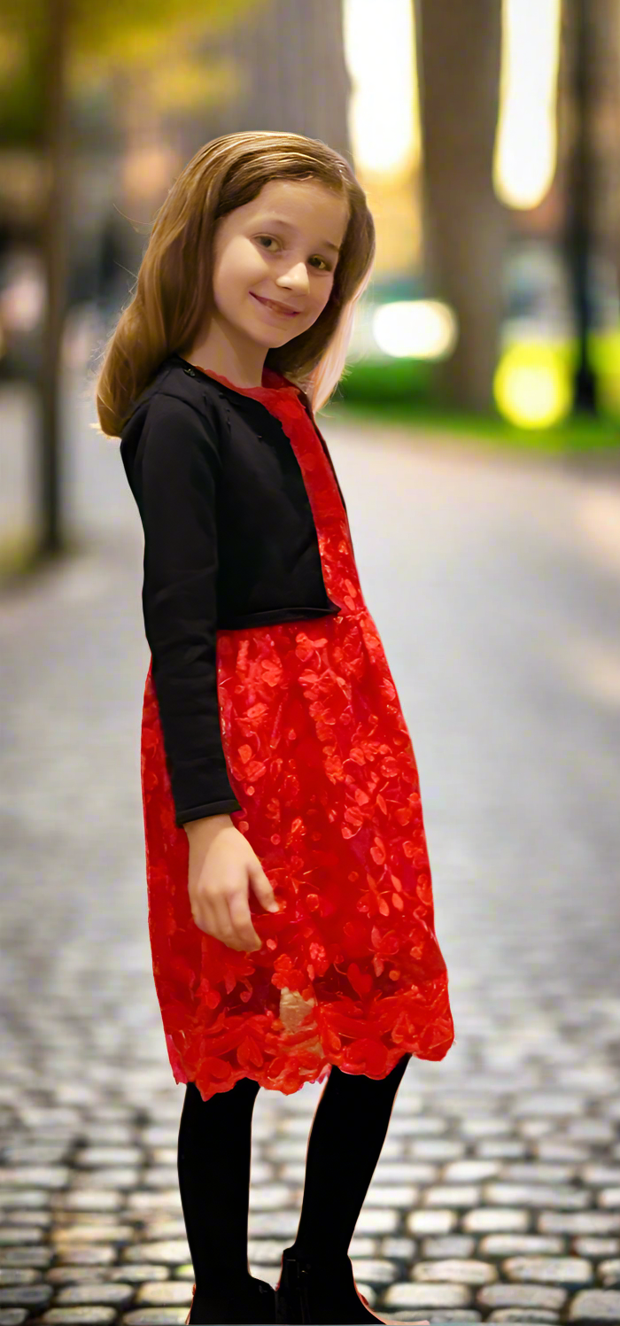 Festive Red Embroidered Dress (7/8) - On the Go with Princess O