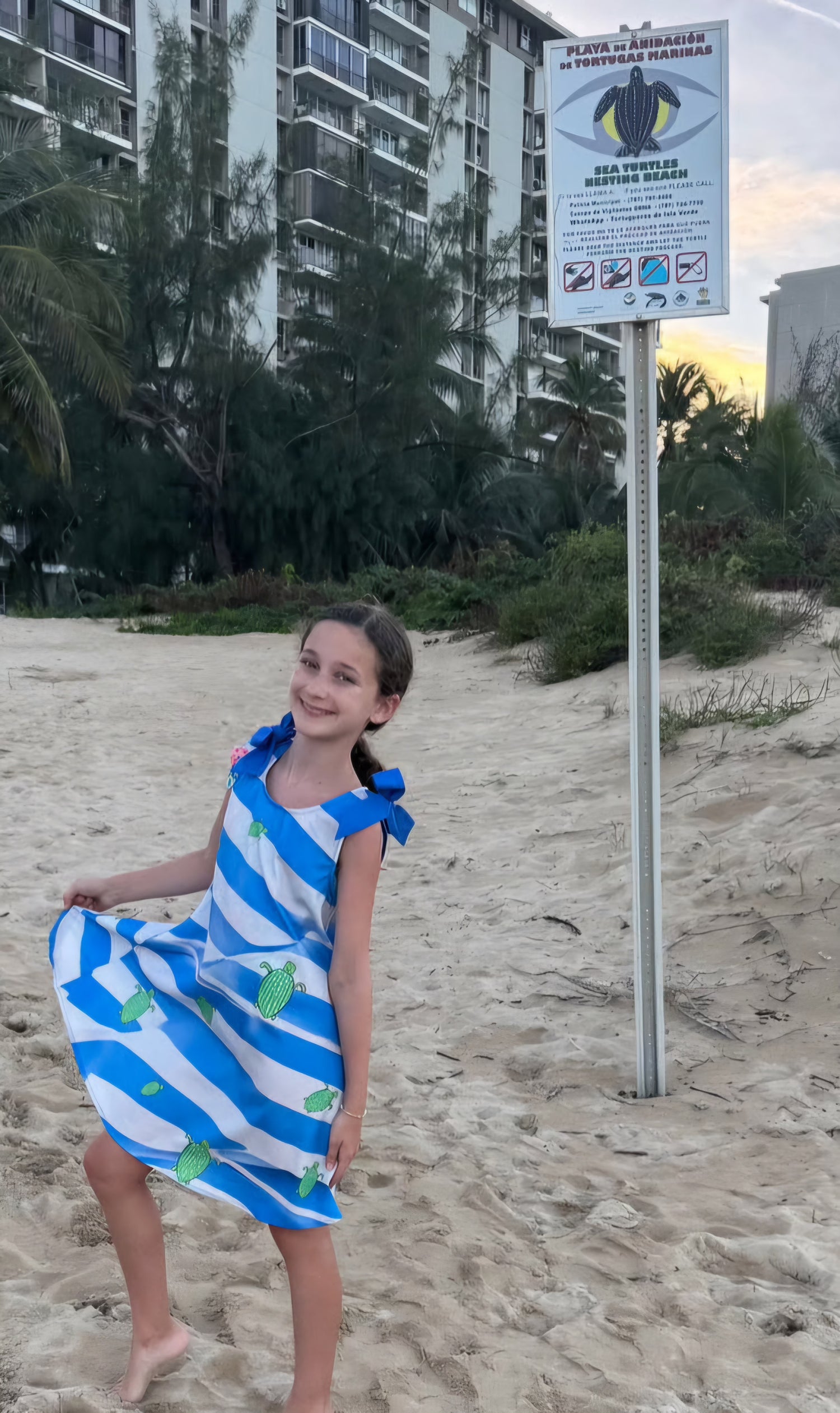 Save the Sea Turtles Collection