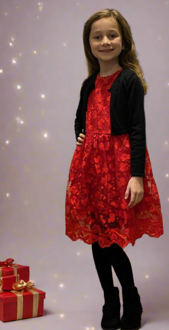 Festive Embroidered Holiday Dress