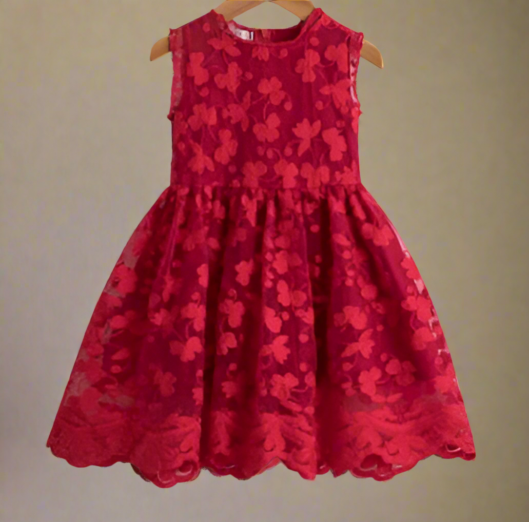 Festive Red Embroidered Dress (7/8)