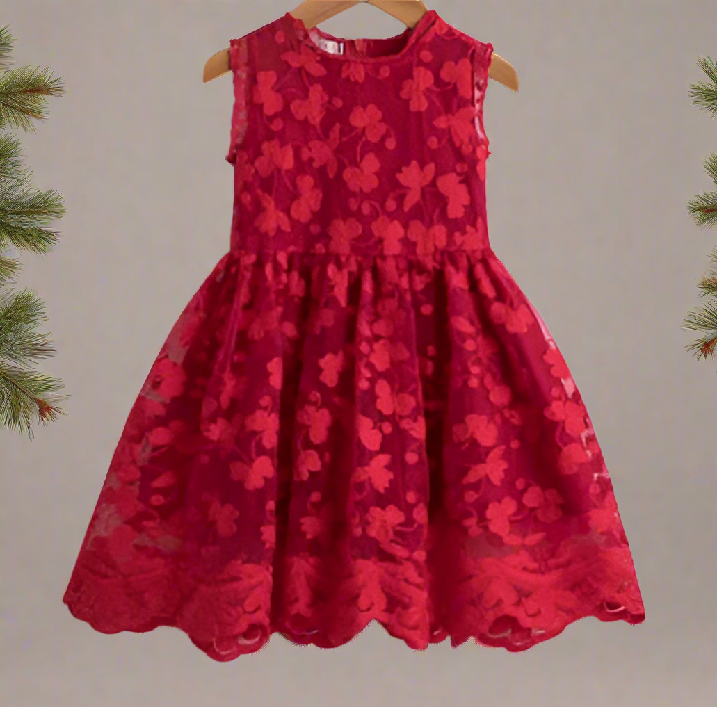 Festive Embroidered Holiday Dress