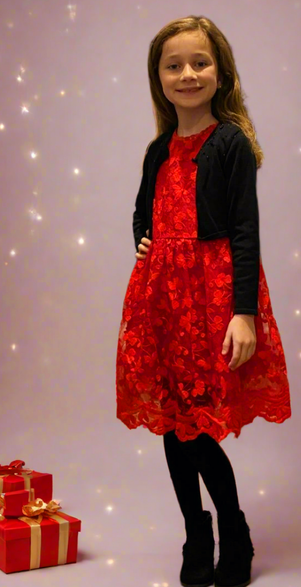 Festive Red Embroidered Dress (7/8)