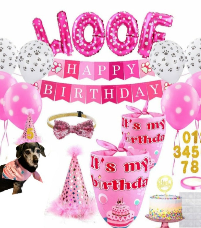 Dog Birthday Party Supply Kit - On the Go with Princess O