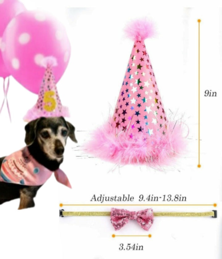 Dog Birthday Party Supply Kit - On the Go with Princess O